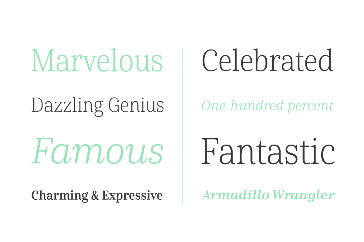 Cabrito Serif, a Serif Font by insigne (Photo 3 of 5)