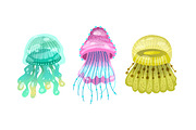 Different jellyfish, sea animals set, an Animal Illustration by Good Studio (Thumbnail 2 of 6)