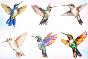 Cute Dabbing Hummingbird Sublimation, an Illustration by Canvas Craft (Thumbnail 3 of 3)