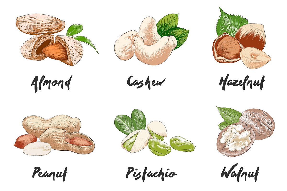 Set of 44 organic food sketches, a Food Illustration by Akimo Mia (Photo 5 of 9)