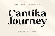 Stiepa | Modern Serif & Sans, a Serif Font by Dora Typefoundry (Thumbnail 22 of 28)