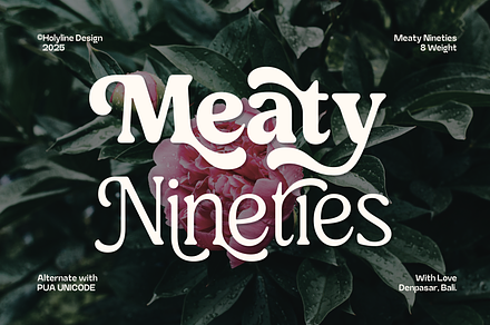 Meaty Nineties - Modern Retro, a Serif Font by Holyline Design