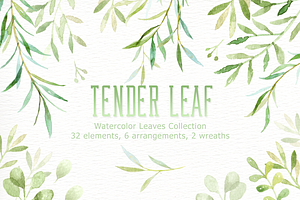 Tender Leaf Watercolor Clipart