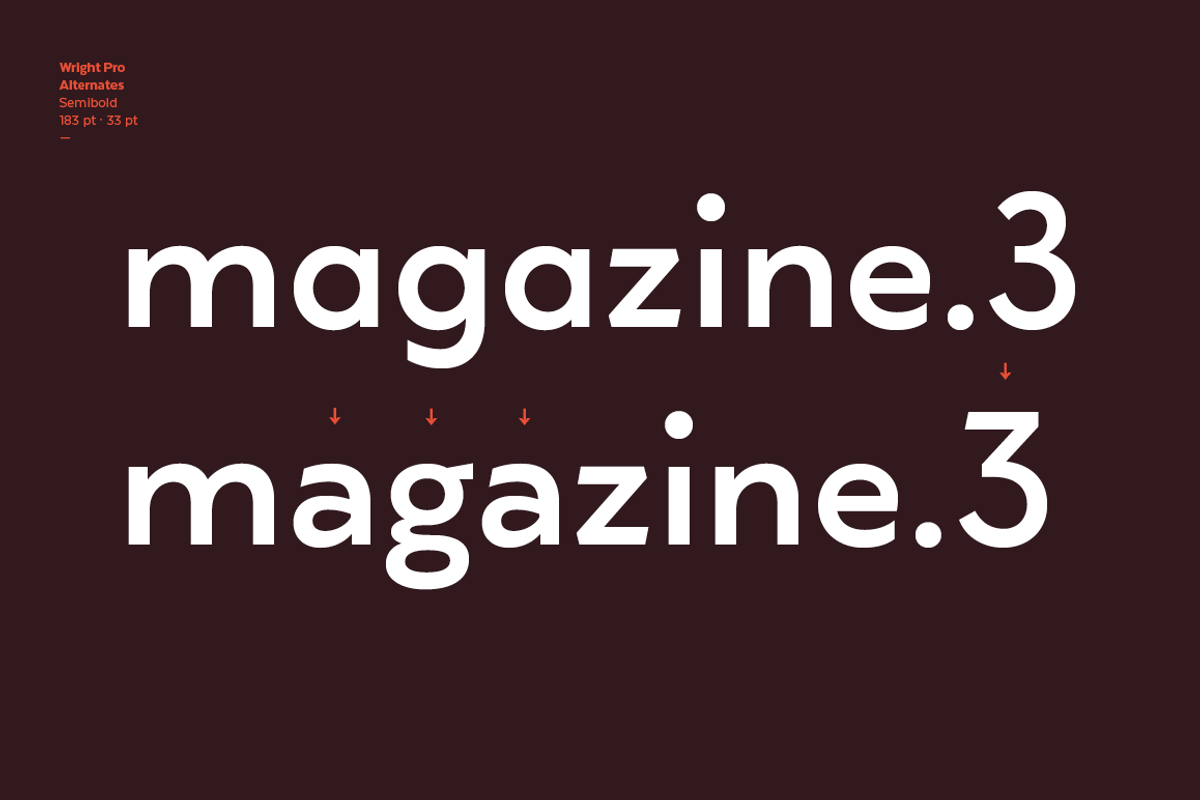 Wright - Family 50% off, a Sans Serif Font by Latinotype (Photo 10 of 15)