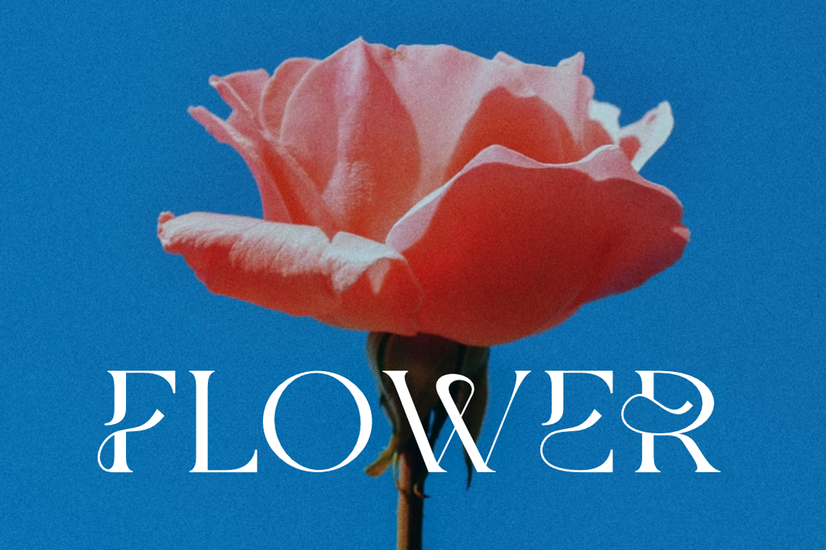 Molgife - Fashion Brand Font, a Serif Font by Iqsiart Studio (Photo 6 of 15)
