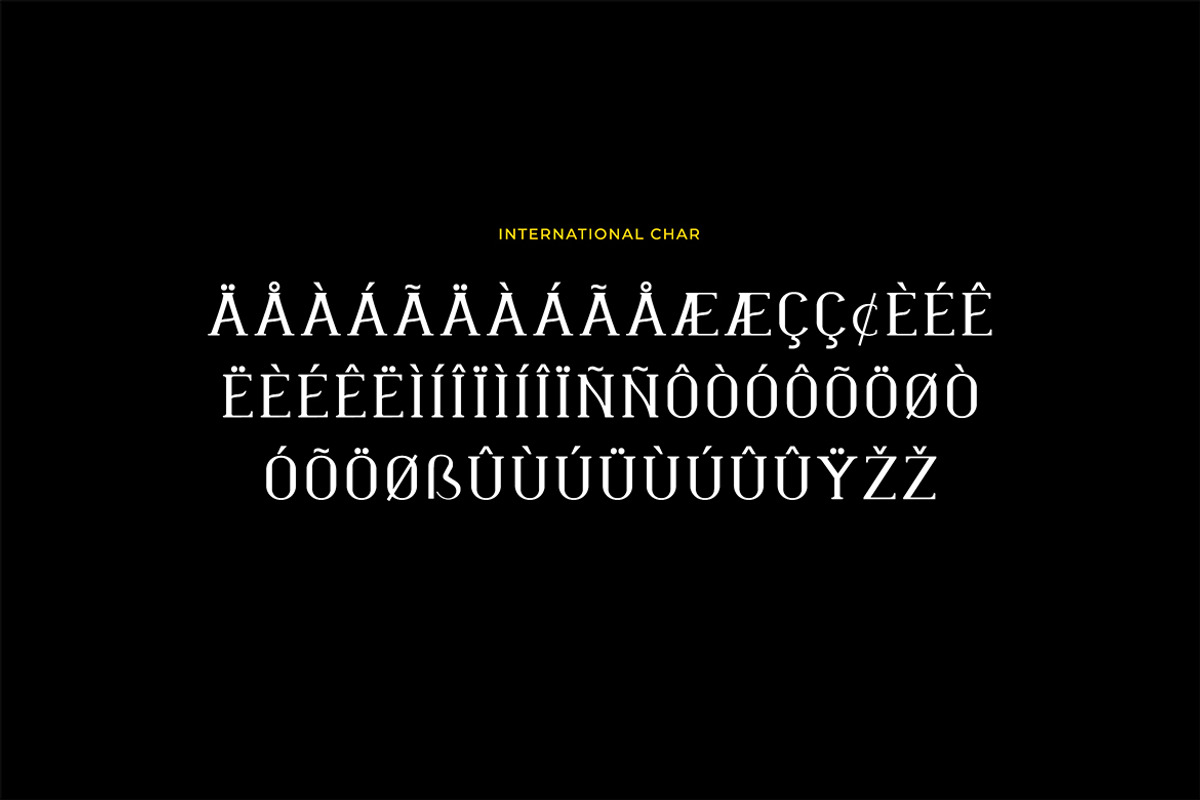 Chinchilla Vintage Serif Font, a Serif Font by UICreative (Photo 8 of 12)