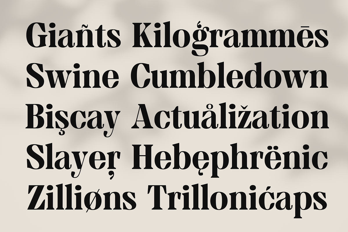 MTC Granfise - A Unique Serif, a Serif Font by Martype (Photo 9 of 12)