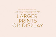 Inkpress Sans All Caps Typeface, a Sans Serif Font by Nicky Laatz (Thumbnail 9 of 12)