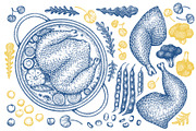 Collagen Diet Vector Collection, a Food Illustration by Lubov Illustrations Shop (Thumbnail 2 of 8)