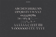 Equinox Stylish Font duo & logo set, a Slab Serif Font by Studio Aurora (Thumbnail 5 of 13)