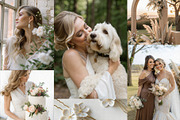 Beige Wedding Aesthetic Stock Photos, a Beauty & Fashion Photo by Helospace (Thumbnail 4 of 10)