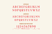 Jazmond – Classic Serif Font, a Serif Font by Drizy (Thumbnail 5 of 10)