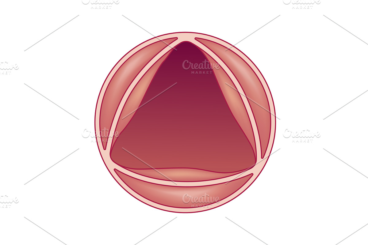 Medical illustration shows, an Object Illustration by Things for designers