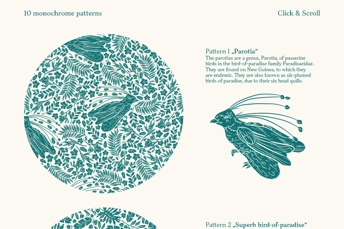 Bird-of-Paradise patterns, a Pattern Graphic by Piñata (Photo 2 of 13)