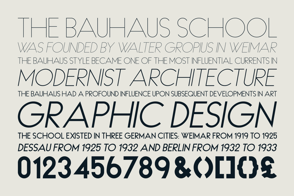 HAUS Sans Extra Bold, a Sans Serif Font by MARTINI Type Designer (Photo 5 of 5)