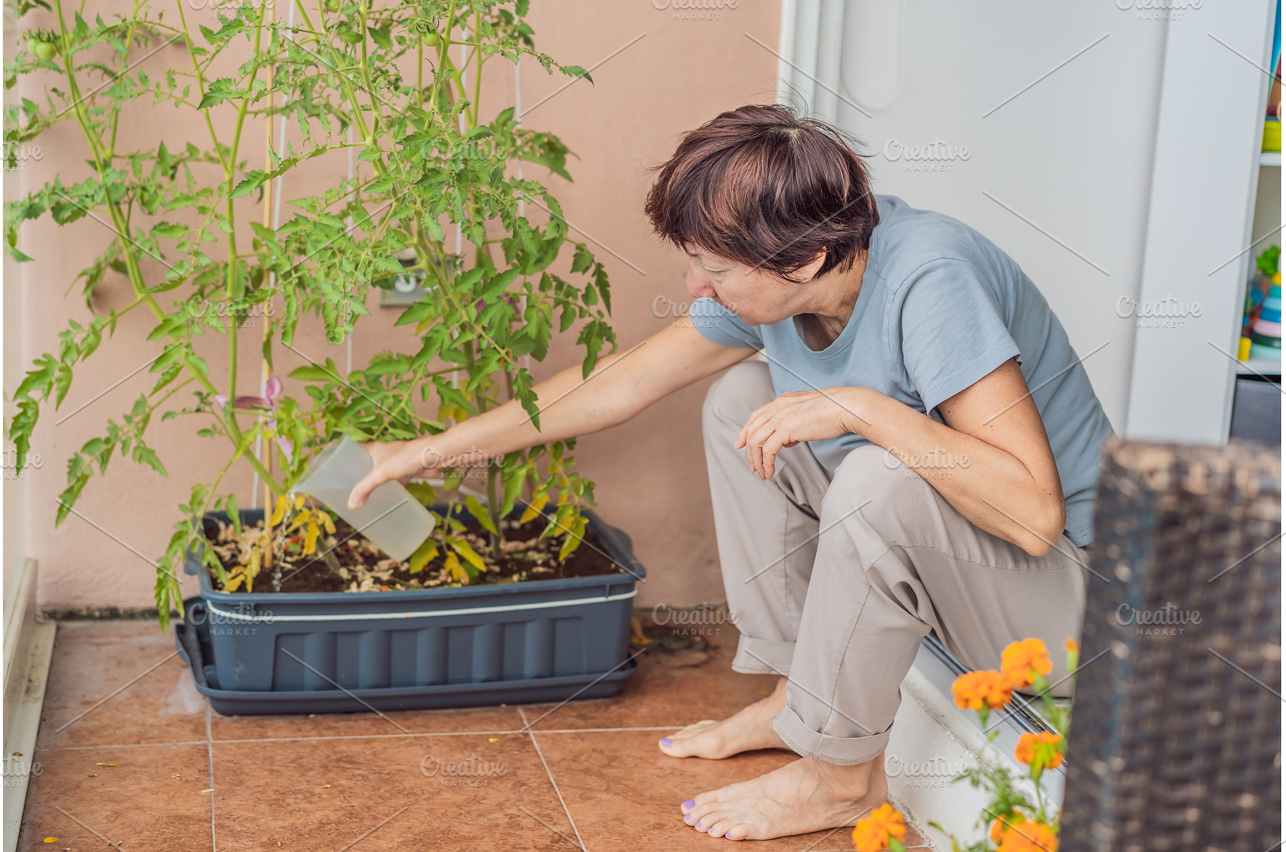 Older woman watering her potted, a Nature Photo by Elizaveta Galitskaya