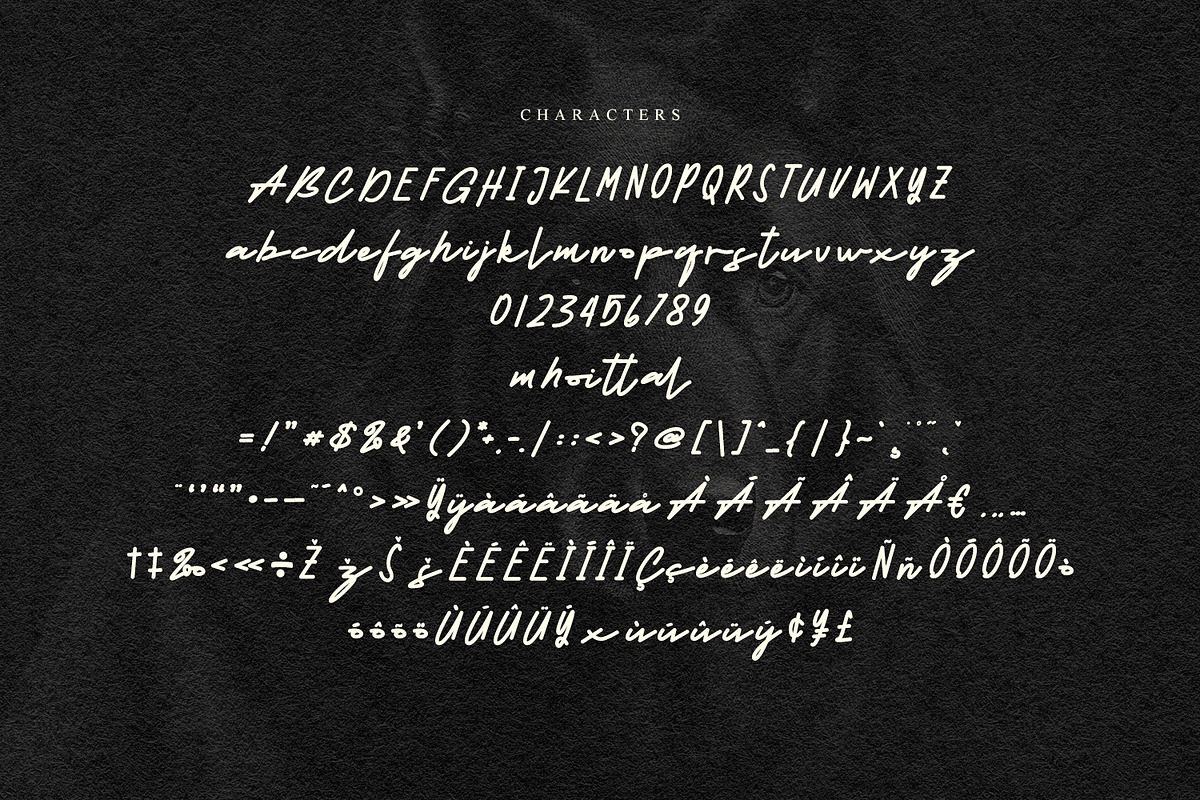Soittal Signature Script Font, a Script Font by Maulana Creative (Photo 6 of 7)