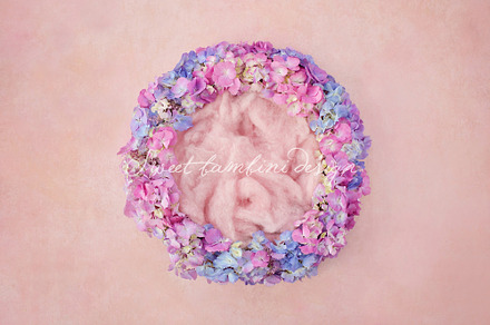 Digital Backdrop Newborn Photography preview 6