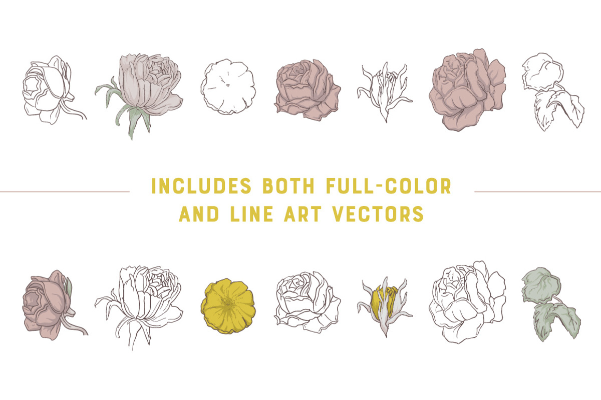 FLORA | 7 Vector Illustrations, an Illustration by Britt & Kit (Photo 2 of 4)