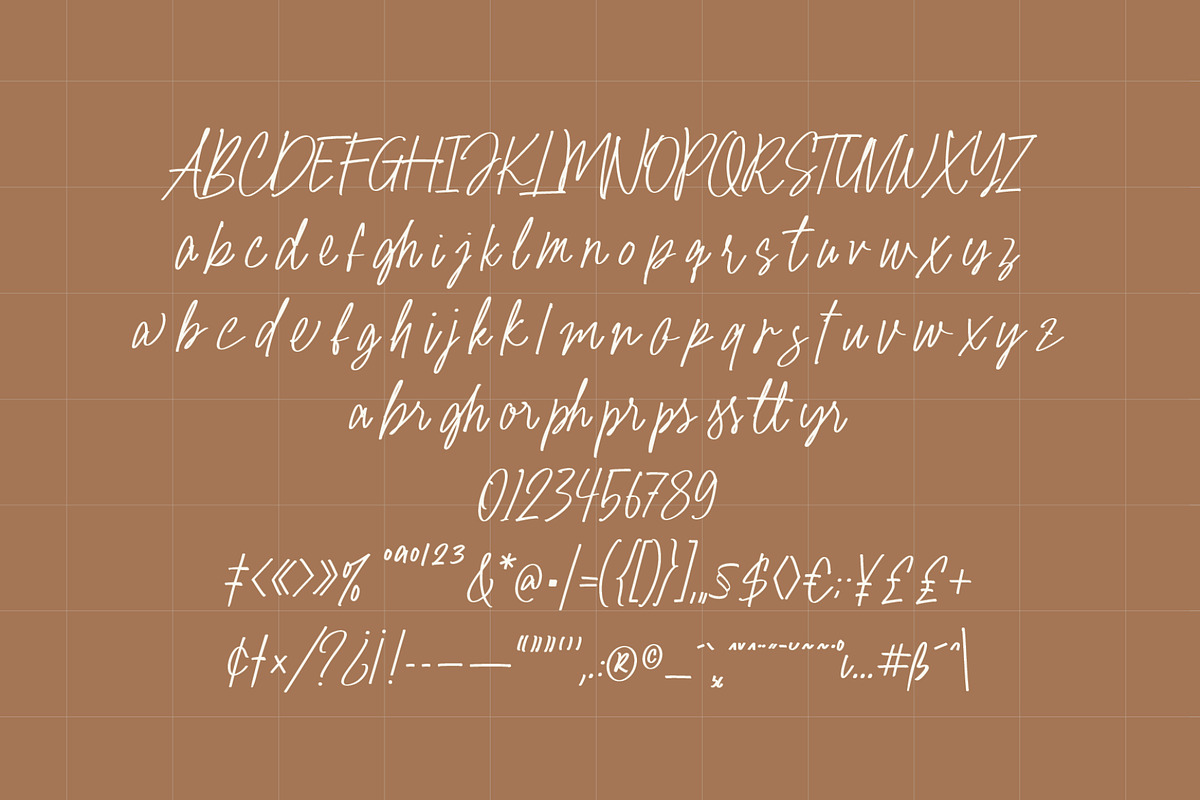 Palmaera - Signature Display Typefac, a Handwritten Font by VASTARD STUDIO (Photo 9 of 12)