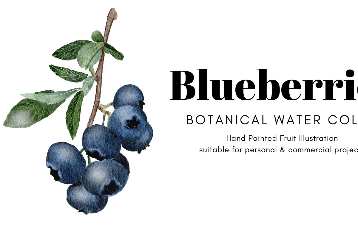 Botanical Blueberries, an Illustration by anitawidi (Photo 1 of 3)