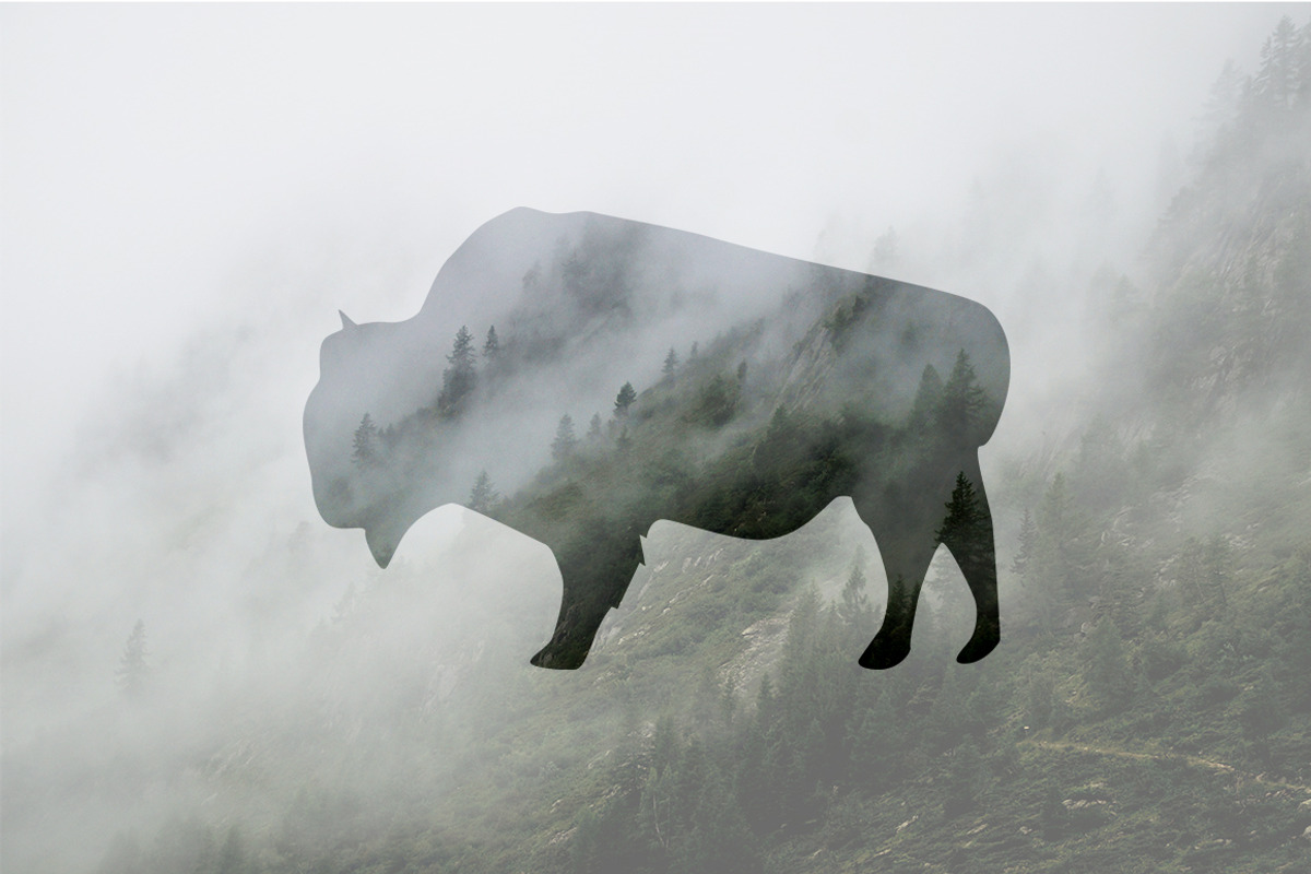 Wild Animals of North America, an Icon by Calvin Weibel (Photo 4 of 6)