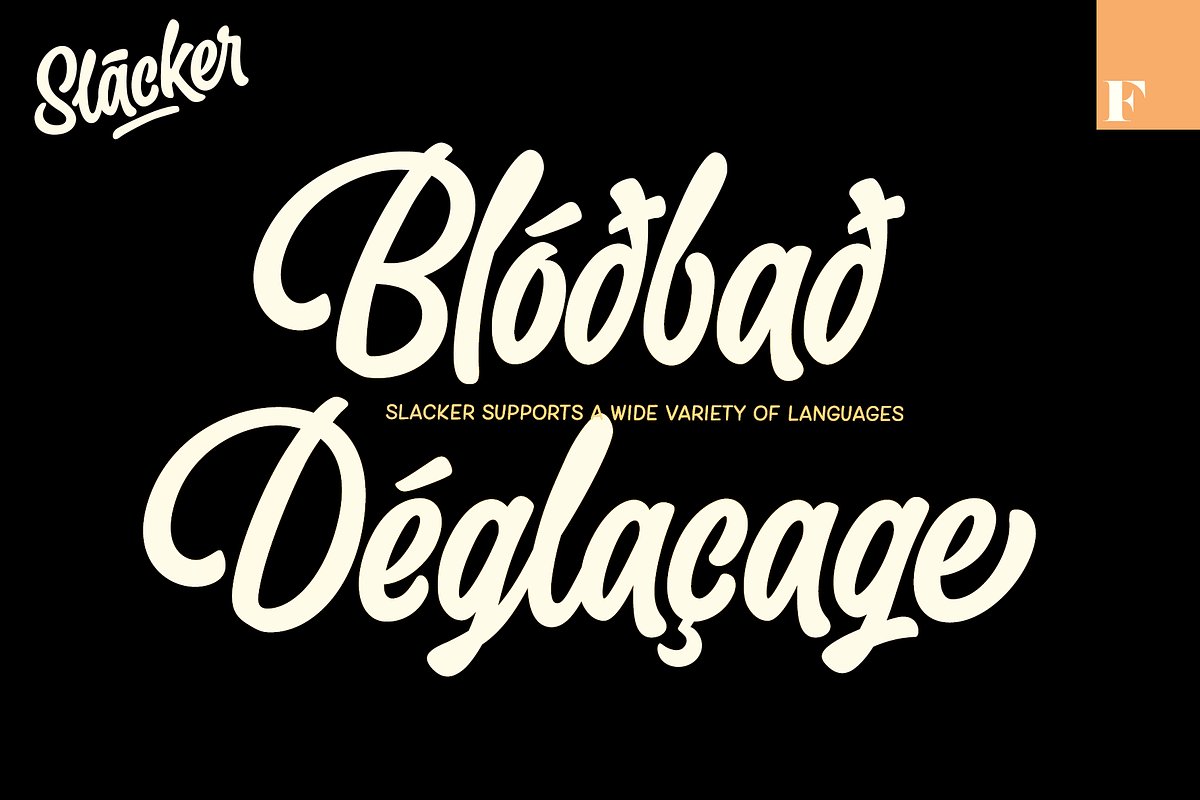 Slacker - a mellow brush script, a Script Font by Fenotype (Photo 12 of 13)