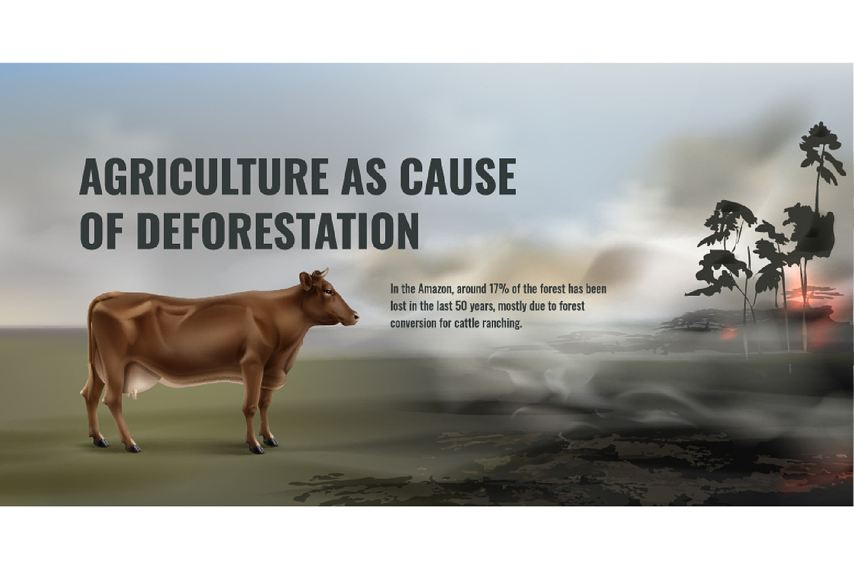 Vector Realistic Deforestation Set, an Animal Illustration by Zonda (Photo 8 of 12)