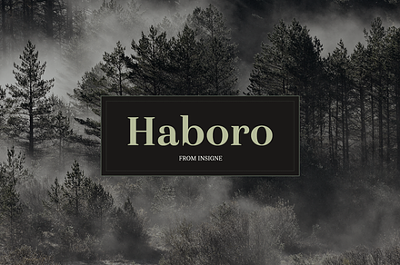 Haboro, a Font by insigne