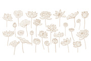 Lotus hand drawn vector set, a Seasonal Illustration by Vectorwins Premium Shop (Thumbnail 2 of 4)