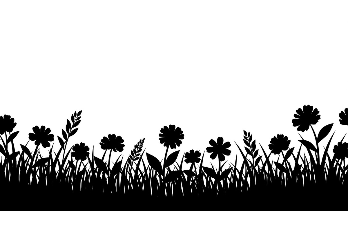 Floral Grass Border Silhouette Bundl, an Illustration by Amazin_art (Photo 11 of 51)