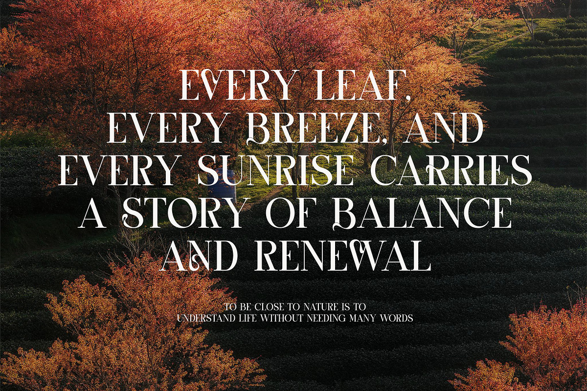 Codas Elegant Serif Font, a Serif Font by Graphicxell (Photo 4 of 8)