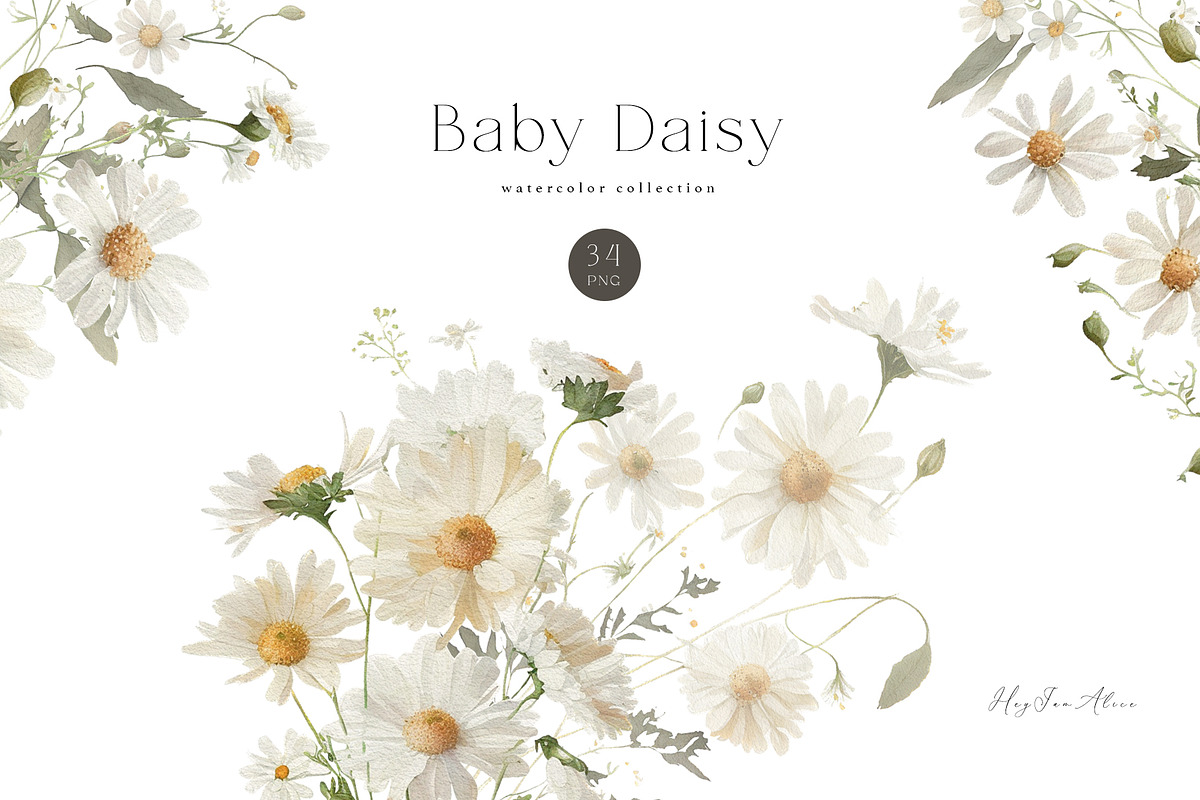Baby Daisy Flower, a Decorative Illustration by heyiamalice (Photo 1 of 12)