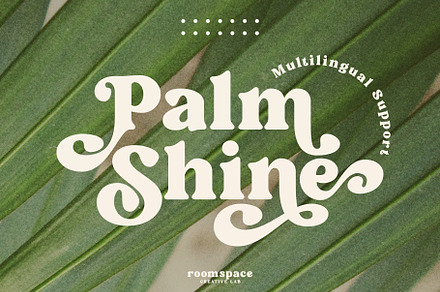 Palm Shine - Bold Swirl Serif, a Serif Font by roomspace