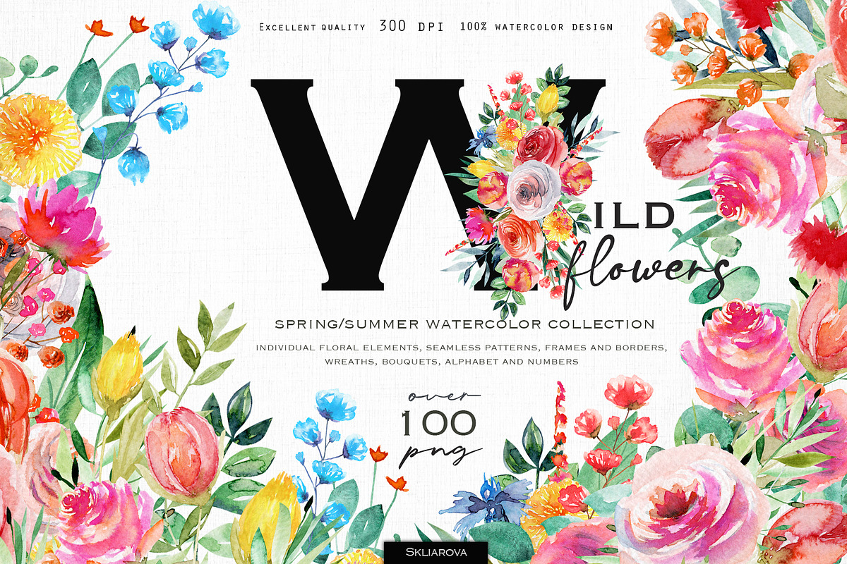 Wild flowers collection, a Texture Illustration by Skliarova (Photo 1 of 11)