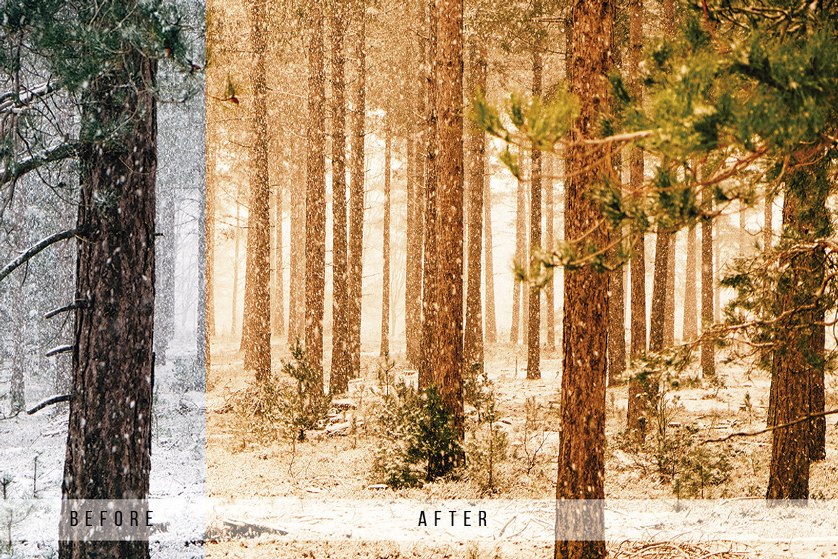 Forest Tone Lightroom Presets, an Action Add-On by N A N D U Z D E S I G N (Photo 9 of 10)