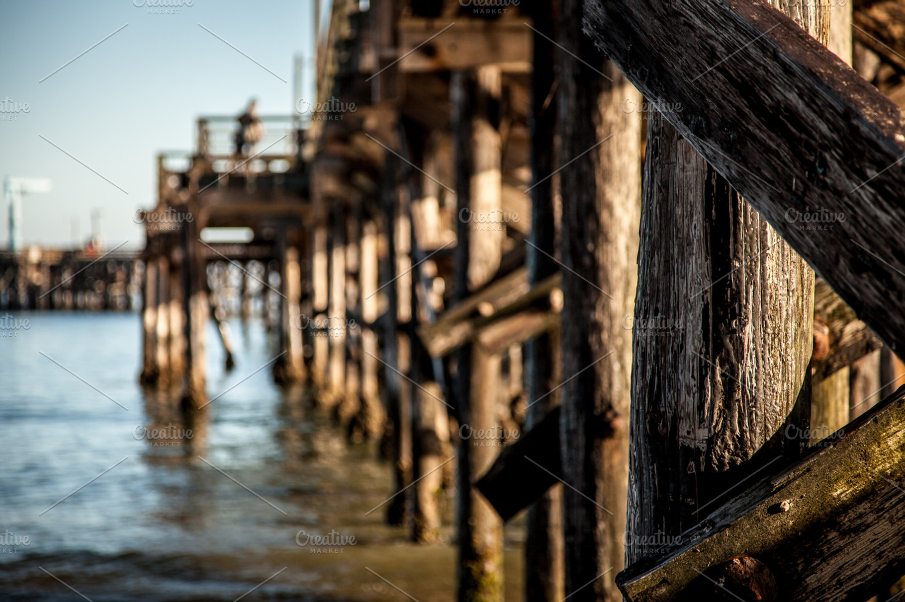 Oceanfront Pier Shallow Dof