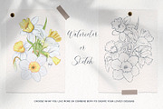 Watercolor and sketch daffodils, a Decorative Illustration by TatiArti (Thumbnail 4 of 13)