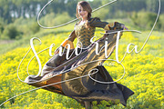 Society Calligraphy Modern, a Script Font by Teweka (Thumbnail 2 of 9)