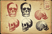 Vintage Skull and Bone Vector pack, an Illustration by Itsmesimon (Thumbnail 7 of 11)