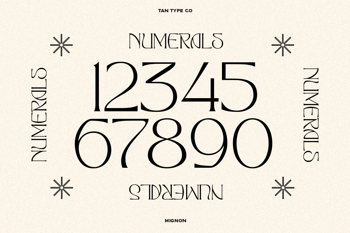 TAN - MIGNON, a Font by TanType (Photo 15 of 17)