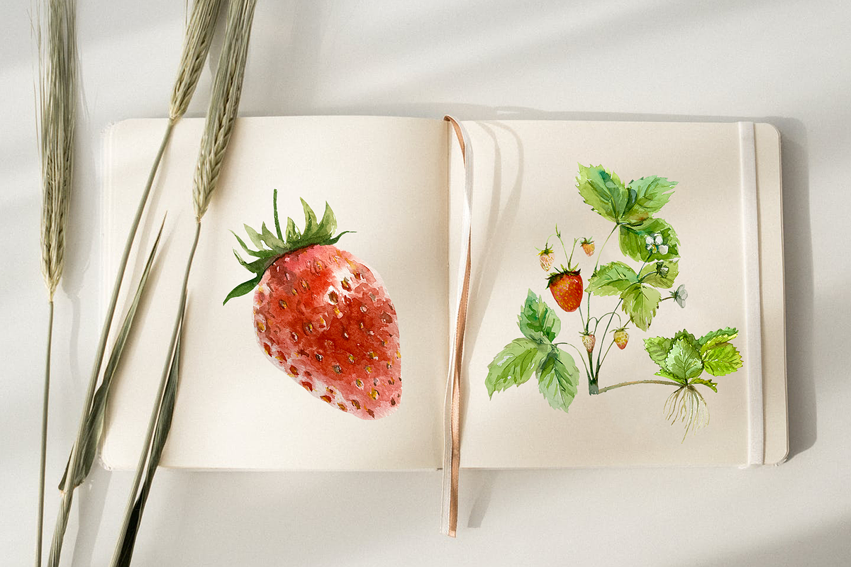 Strawberry Life Cycle Cliparts/Print, an Education Illustration by Tati Bordiu (Photo 3 of 4)
