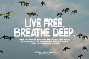 Watterlime, a Script Font by Nathatype (Thumbnail 4 of 11)