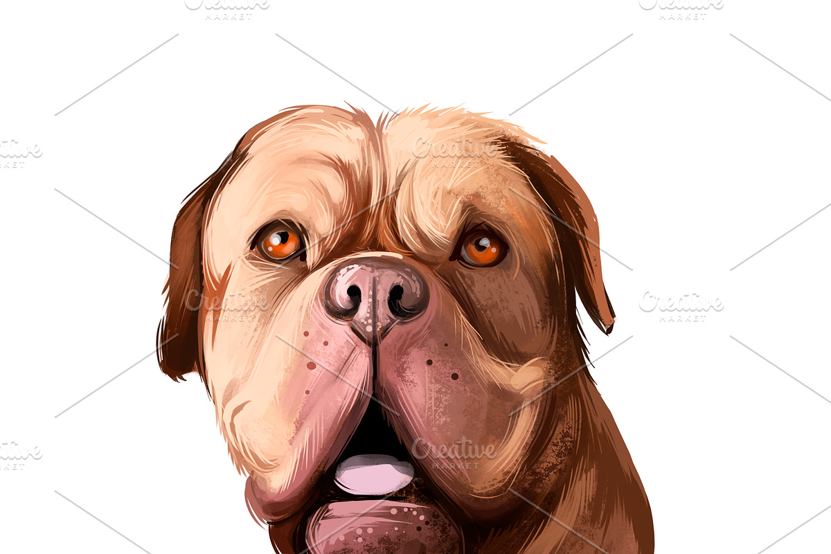 Mastiffs and Pugs 34 PSD Dogs Set, an Animal Illustration by Dneprstock (Photo 10 of 15)