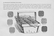 Fruit Grower's Guide Procreate Kit, a Brush Add-On by Digi Life (Thumbnail 3 of 9)
