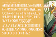 Qastife Elegant Display Serif, a Serif Font by timelesstype.co (Thumbnail 19 of 20)