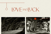 Modern Logo Sans Font Bundle, a Sans Serif Font by Jen Wagner Co (Thumbnail 22 of 39)