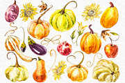 Pumpkins watercolor collection, a Food Illustration by Ann Astro (Thumbnail 5 of 17)
