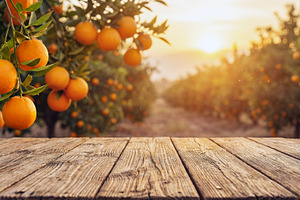 Wooden tabletop against orange garde, a Food & Drink Photo by Volff
