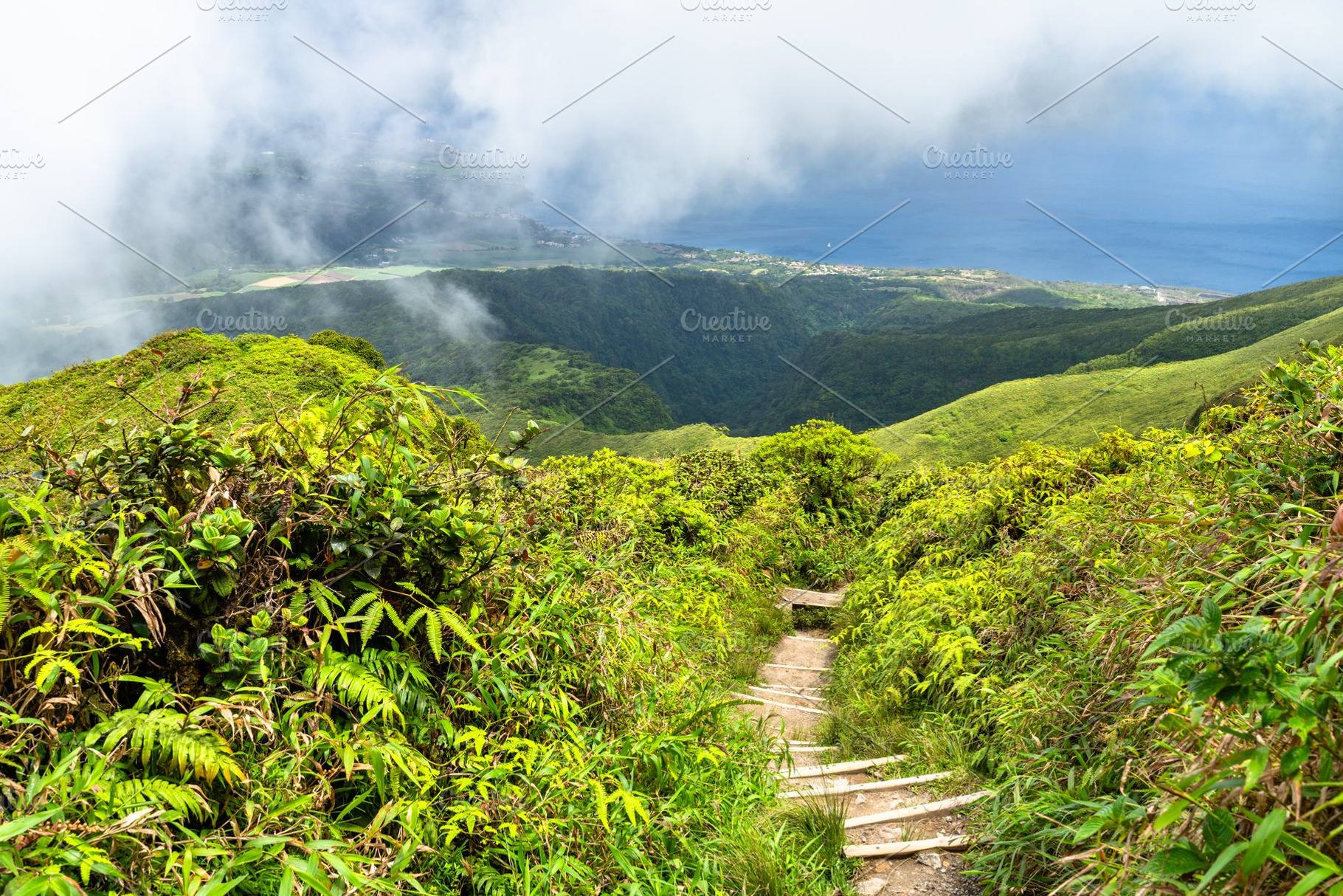 Hiking trail on Mount Pelee volcano in Martinique, a Nature Photo by Leonid Andronov